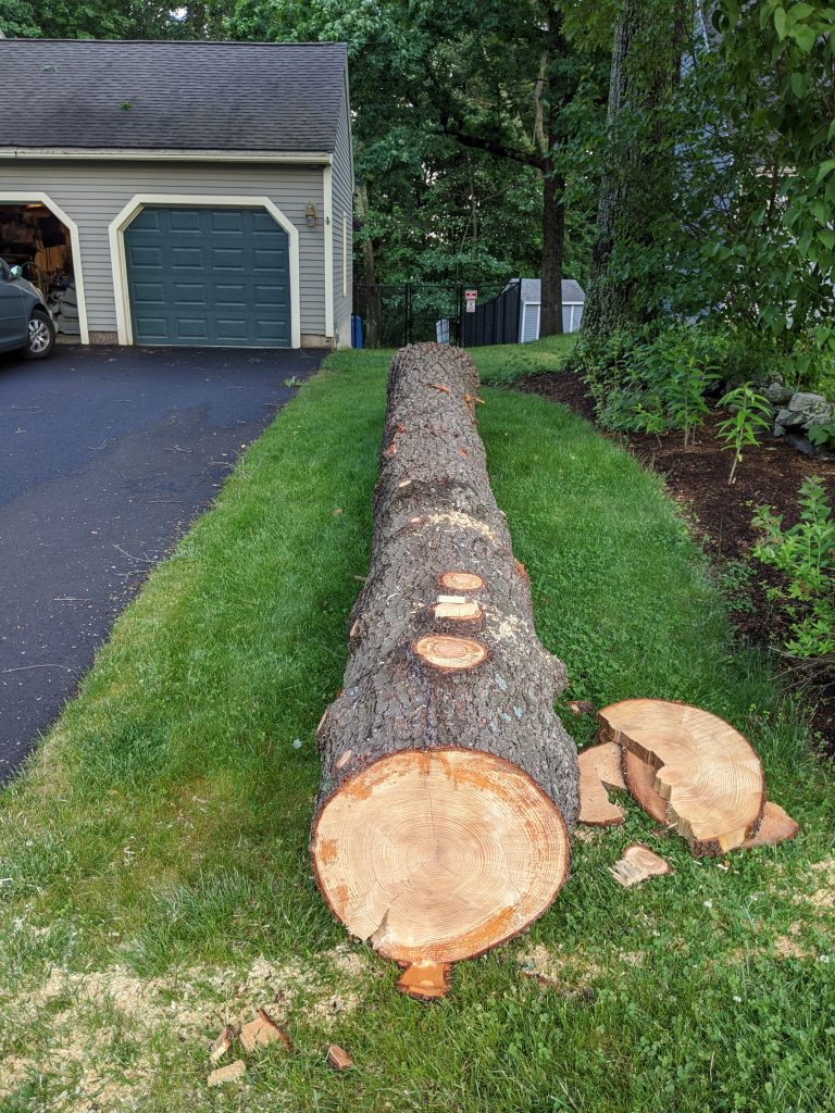 The straight 18-foot butt end of the pine log